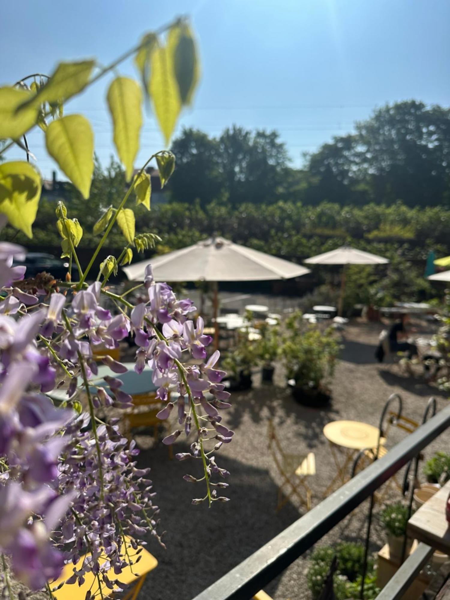 Ferienwohnungen Im Hof68 Munster  Exteriör bild